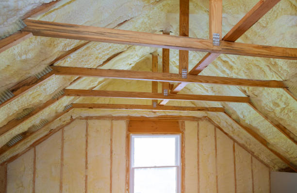 Best Insulation Maintenance and Repair in Wyandotte, MI