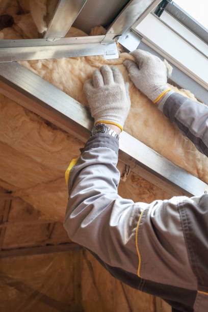 Best Insulation for Specific Applications in Wyandotte, MI