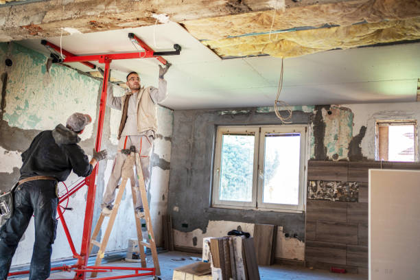 Best Insulation Installation Services in Wyandotte, MI