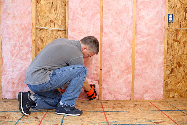Best Residential Insulation in Wyandotte, MI