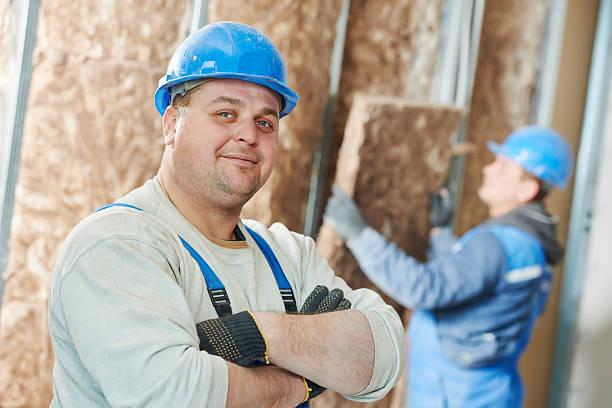 Best Energy Efficiency Solutions in Wyandotte, MI