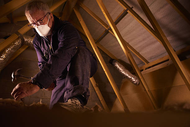 Best Insulation Materials and Products in Wyandotte, MI