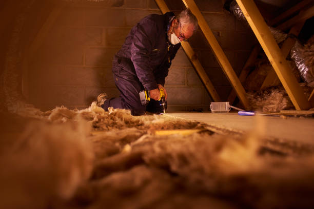 Best Commercial Insulation in Wyandotte, MI
